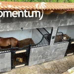 MT-277 - Galería 05
