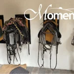 MT-277 - Galería 06