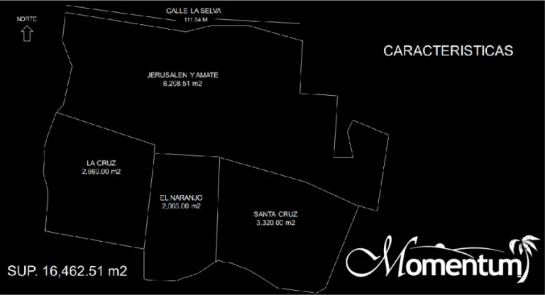 MT-303 - Galería 02