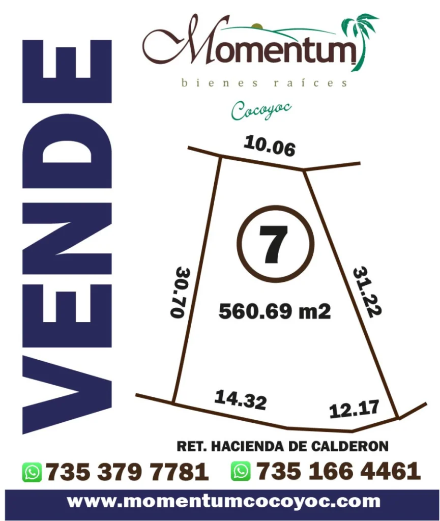 MT-338 - Imagen destacada