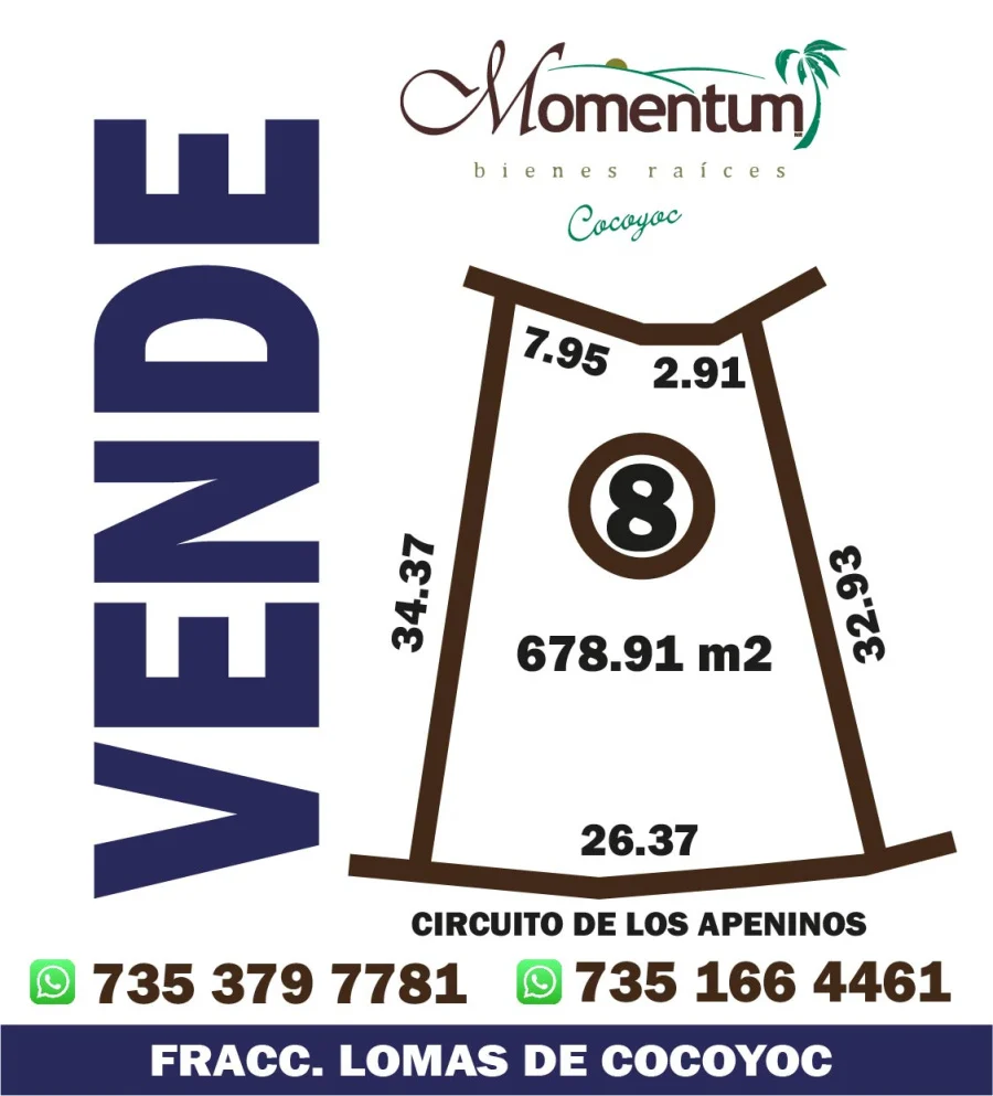 MT-401 - Imagen destacada