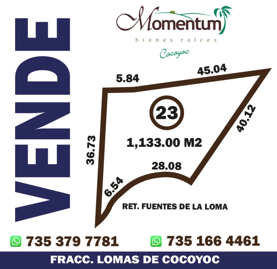 MT-800 - Imagen destacada